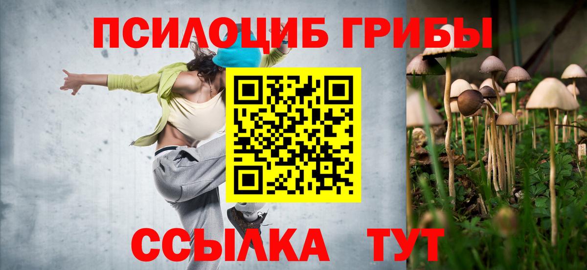 Псилоцибиновые грибы Psilocybine cubensis Таганрог